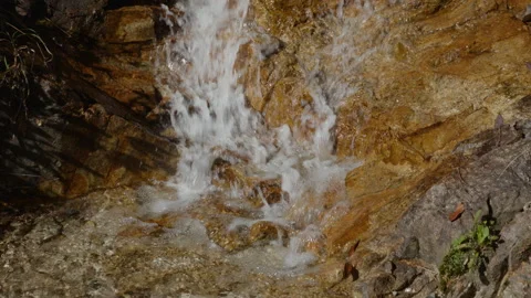 Clear Mountain Stream Flowing Over Rocks – Japanese Nature River Close-Up Stock Footage 319678955