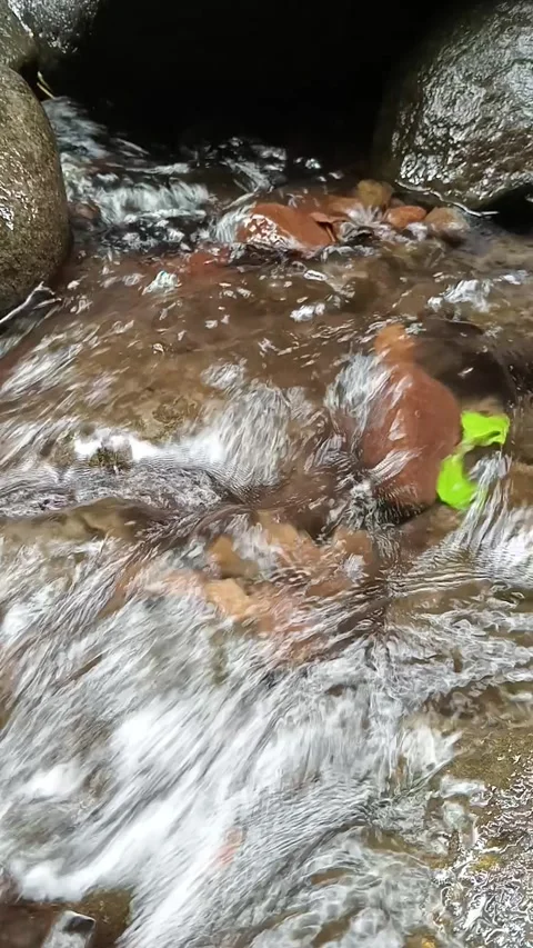 Clear Mountain Stream Flowing Over Rocks in Tropical Forest Stock Footage 329802519