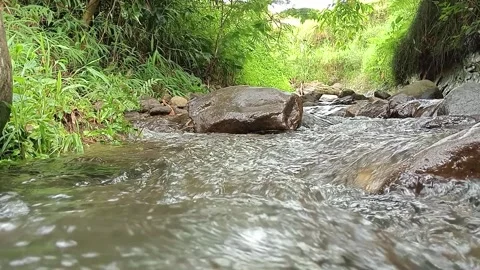 Clear Mountain Stream Flowing Over Rocks in Tropical Forest Stock Footage 330331020