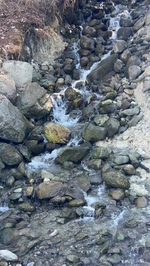 Clear mountain stream flowing over mossy rocks in natural forest Stock Footage 334429306