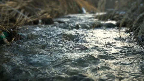Clear Mountain Stream Flowing Over Rocks in a Natural Wilderness Setting Stock Footage 341872617