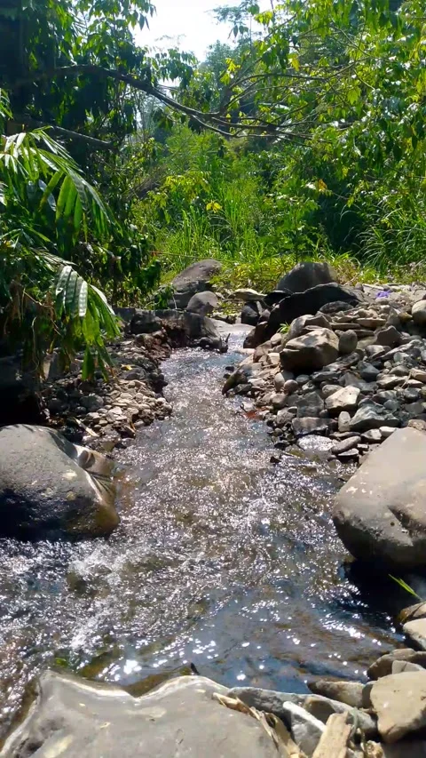 Clear Mountain Stream Flowing Over Rocks in Forest 4K Stock Footage 341909023