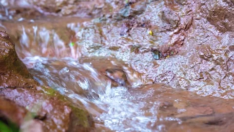 Clear Mountain Stream Flowing Over Wet Brown Rocks in a Natural Forest Setting Stock Footage 341999595