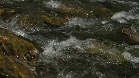 Clear mountain stream flowing over rocks close up in natural river Stock Footage 342031702