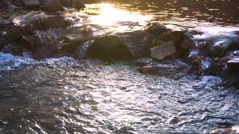 Clear Mountain Stream Flowing Over Rocks With Golden Sunlight Reflections Stock Footage 342208160