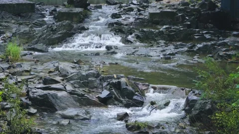 Clear mountain stream flowing over dark rocks in a forest landscape Stock Footage 342229765