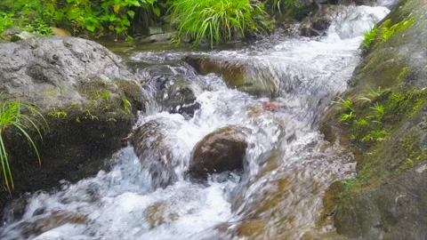 Clear mountain stream flowing over smooth rocks in a lush green forest valley Stock Footage 342333477