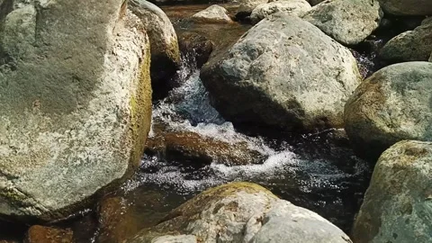 Clear mountain stream flowing over smooth river rocks in sunlight Stock Footage 342964701