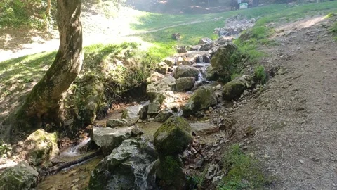 Clear mountain stream flowing over rocks in wild forest Video stock 345717444