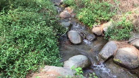 Clear Mountain Stream Flowing Over Rocks Through Lush Green Vegetation Stock-Footage 346193179