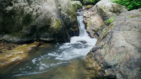 Clear mountain stream flowing over mossy rocks in a peaceful forest setting Video stock 347046625