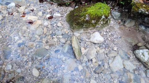 Clear Mountain Stream Flowing Over Pebbles and Mossy Rock Stock Photos