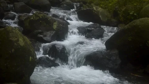 Clear mountain stream flowing rapidly between dark rocks in a forest on Jav.. Stock Footage 340057023