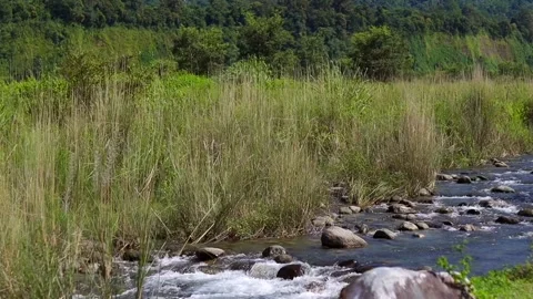 Clear Mountain Stream Flowing Through Lush Green Valley Stock Footage 329174682