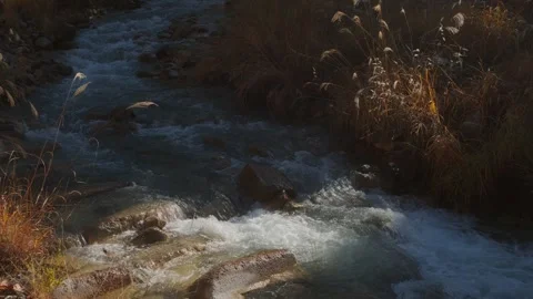 Clear mountain stream flowing through rocks and wild grass in natural landscape Stock Footage 334167707