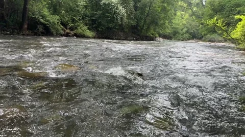 Clear Mountain Stream Flowing Through Rocky Riverbed in Kashmir, India Stock Footage 338040649