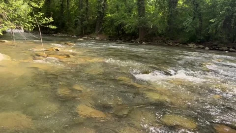 Clear Mountain Stream Flowing Through Rocky Riverbed in Kashmir, India Video stock 338040797