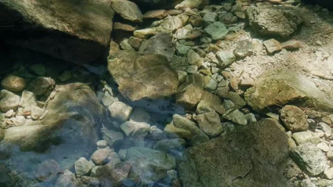 Clear Mountain Stream Flowing Through Rocks 02 - underwater shot Видео 342463144