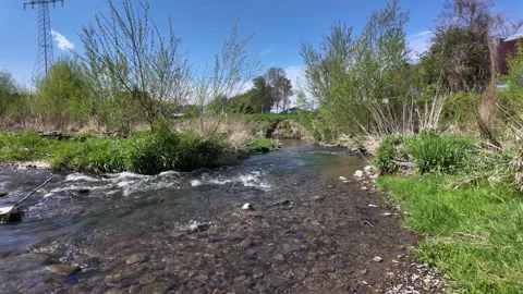 Clear mountain stream flowing through green spring landscape Stock Footage 345175843