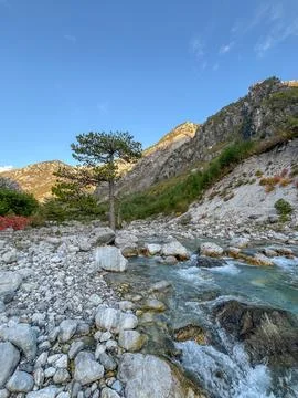 Clear mountain stream flowing through rocky terrain with pine trees Stock Photos