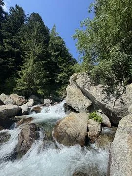 Clear Mountain Stream Flowing Through Green Alpine Forest. Stock Photos