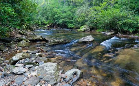 Clear Mountain Stream Flowing Through Lush Green Forest Stock-Fotos