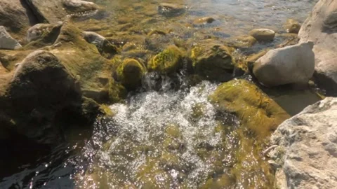 A clear mountain stream flows between rocks in summer Stock Footage 321846110