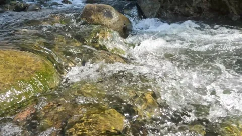 A clear mountain stream flows between rocks in summer Stock Footage 321846145