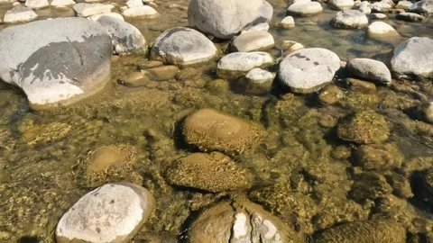 A clear mountain stream flows between rocks in summer Stock Footage 321846146