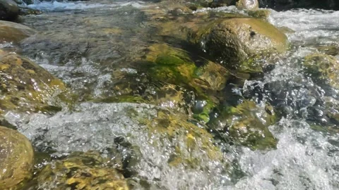 A clear mountain stream flows between rocks in summer Stock Footage 321846153