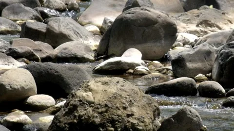 A clear mountain stream flows between rocks in summer Stock Footage 321846323