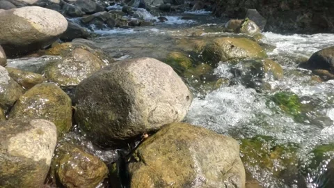 A clear mountain stream flows between rocks in summer Stock Footage 321846324