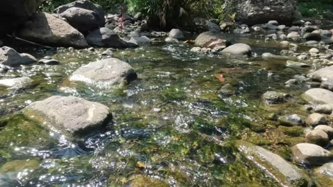A clear mountain stream flows down through the rocks Stock Footage 321322986