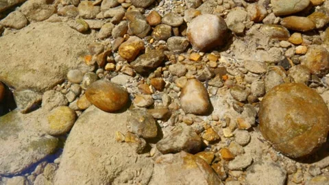 Clear mountain stream flows gently over smooth pebbles and mossy rocks in a s Stock Footage 308649852