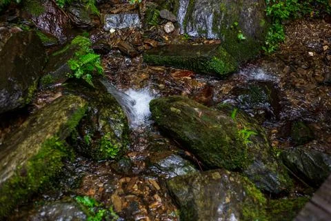 A clear mountain stream flows through the forests of Yilan, passing over mo.. Stock Photos