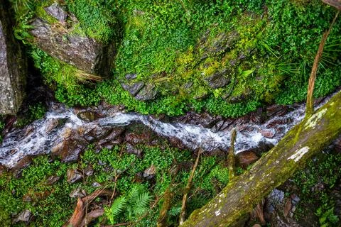 A clear mountain stream flows through the forests of Yilan, passing over mo.. Stock Photos