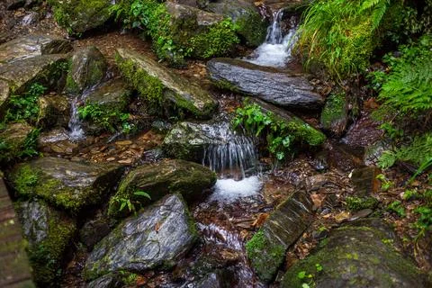 A clear mountain stream flows through the forests of Yilan, passing over mo.. Stock Photos