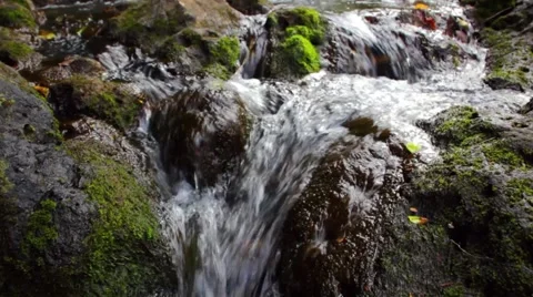 Clear Mountain Stream Stock Footage 4234867