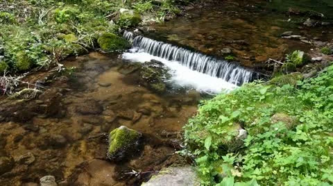 Clear mountain stream 库存影片 11533446