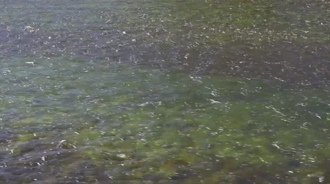 A clear mountain stream Stock Footage 42041798