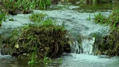 Clear mountain stream Stock Footage 75886074