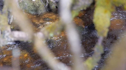 Clear Mountain Stream Stock Footage 98078867