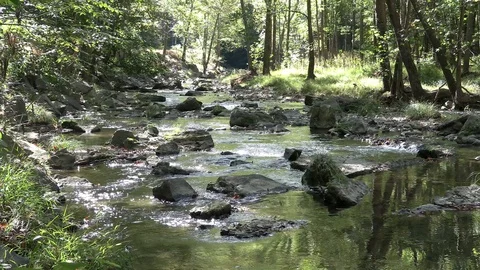 Clear mountain stream Stock Footage 116753587