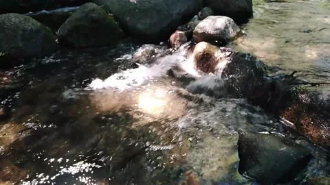 Clear mountain stream Stock Footage 136893557