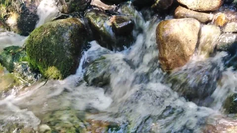 Clear mountain stream Stock Footage 136893570