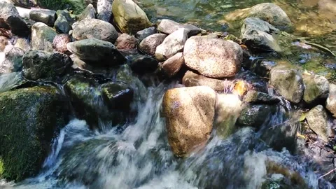 Clear mountain stream Stock Footage 136893574