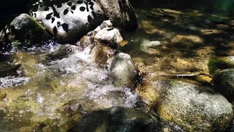 Clear mountain stream Stock Footage 136893596