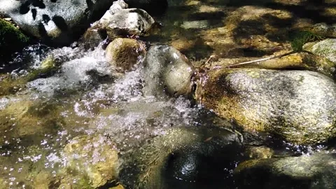 Clear mountain stream Stock Footage 136893652