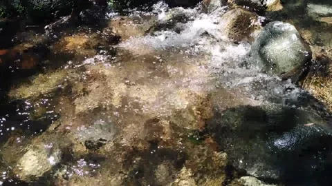 Clear mountain stream Stock Footage 136893656