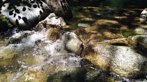 Clear mountain stream Stock Footage 136893662